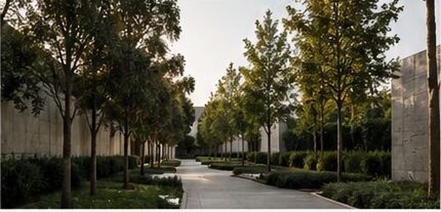 Tree-lined pedestrian avenue within a plotted development